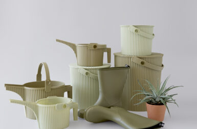 Martha Stewart’s Backyard Eggs Inspired Hachiman’s New Color Palette