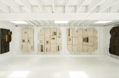 Katrien Van Der Schueren’s Cabinets of Curiosity Are at Once Primeval and Present-Day